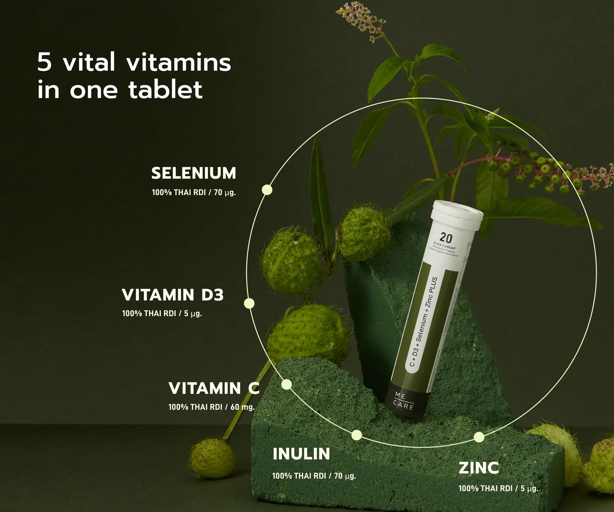 immune Asset IMM 02 Web H